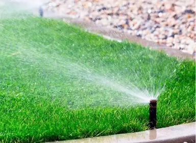 The Importance of Proper Drainage in Your Landscape Design