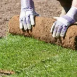 Hydroseed-1 Hydroseed-1