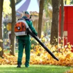 Leaf-Clean-Up Leaf-Clean-Up