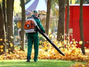 Leaf-Clean-Up Leaf-Clean-Up
