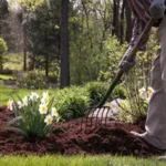 Spring-Clean-Up-Service-In-Crystal-Lake-IL Spring-Clean-Up-Service-In-Crystal-Lake-IL