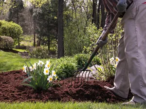 Spring-Clean-Up-Service-In-Crystal-Lake-IL Spring-Clean-Up-Service-In-Crystal-Lake-IL