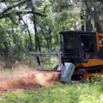 Tallahassee-Forestry-Mulching-Services-768x576-1 Tallahassee-Forestry-Mulching-Services-768x576-1