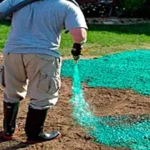 sod-hydroseed-1-1 sod-hydroseed-1-1