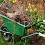 spring-cleanup-e1488638834526 spring-cleanup-e1488638834526