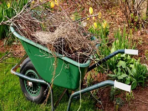 spring-cleanup-e1488638834526 spring-cleanup-e1488638834526
